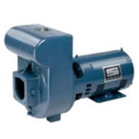 Picture for category "D" Series Pumps