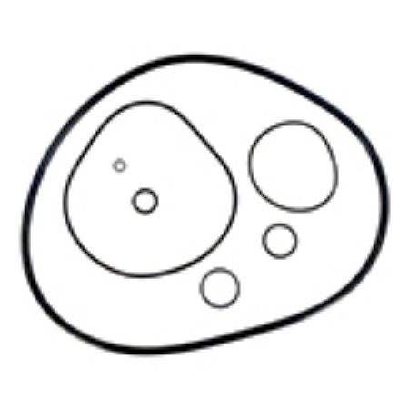 Picture for category O-Rings