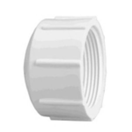 Picture for category Cap, FPT