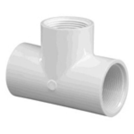 Picture for category Tee, FPT