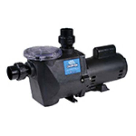 Picture for category Champion