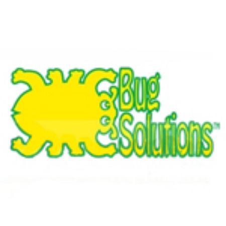 Picture for category Bug Solutions