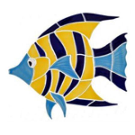 Picture for category Angel Fish