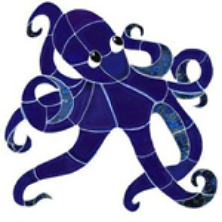 Picture for category Octopus