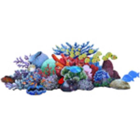 Picture for category Reef