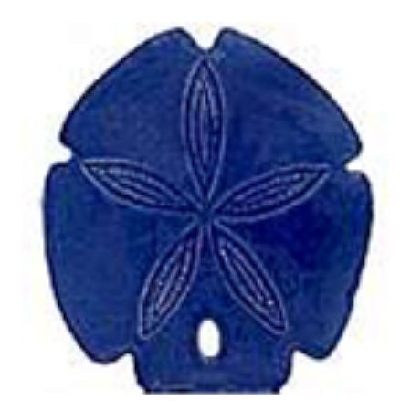 Picture for category Sanddollar