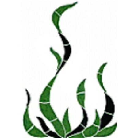 Picture for category Seagrass