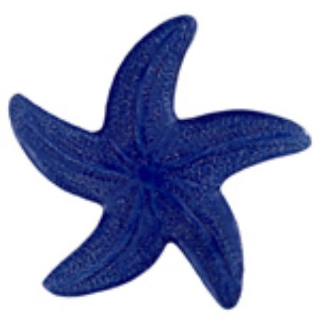 Picture for category Starfish