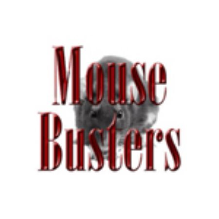 Picture for category Mouse Busters