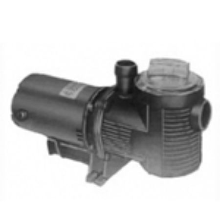 Picture for category Eagle