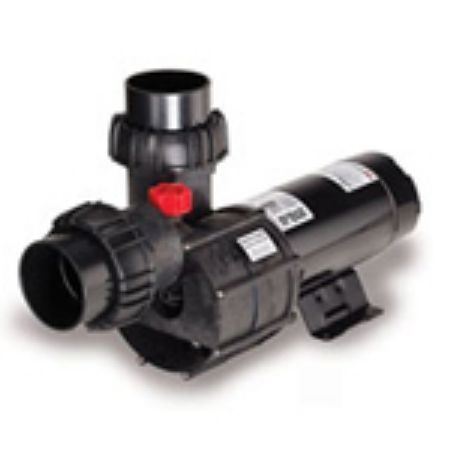 Picture for category 21-80 GS Pump