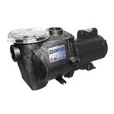 Picture for category Champion Pump