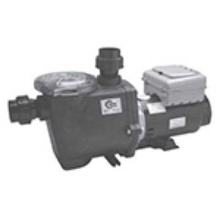 Picture for category Econo-Flo 2 Speed Pump