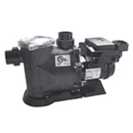 Picture for category Econo-Flo VS Variable Speed