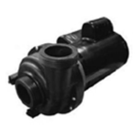 Picture for category Theraflo / Theramax Pumps