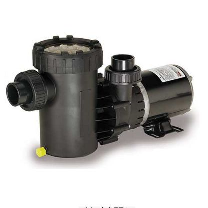 1 1/2 HP 115V E71 VERT DISCH PUMP SPECIAL RATED ABG W/ 3'  AG1921150SVST