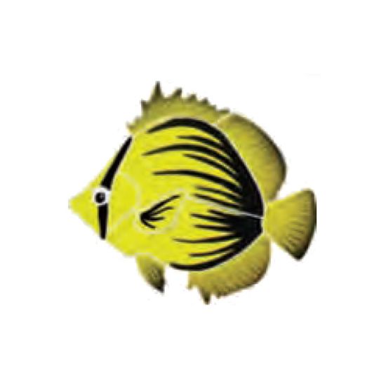 SPIKED BUTTERFLY FISH 4IN X 5IN TILE ARTISTRY IN MOSAICS BFSYELLS