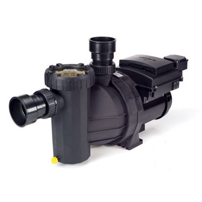 2.45 THP 208V 230V BADU ECOMV PUMP IG VAR SPD W/ TIME CLOCK  IG245-V240T-300