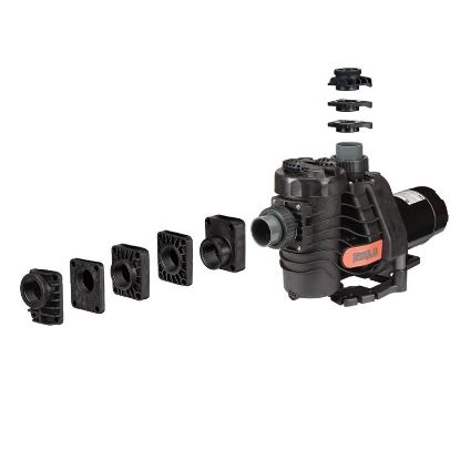 1 HP 115V 230V EASYFIT PUMP IG ORDER THE PROPER SPECK INTAKE IG281-1100M-00