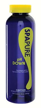 24 OZ DRY PH DOWN 12/CS SPA PURE C002625-CS20B8