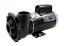 PUMP EX 240V 2.0HP 2SPD 56FR 2INx2IN 8.0/3.0AMPS EXECUTIVE  3720821-1D