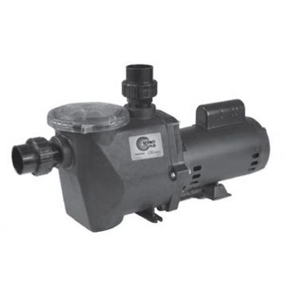 1 1/2 HP 230V 2 SPD ECONO FLO PUMP FULL RATED IG 2IN SKT  ECONO-215