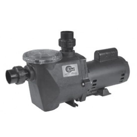 2 HP 230V 2 SPD ECONO FLO PUMP FULL RATED IG 2IN SKT UNIONS  ECONO-220