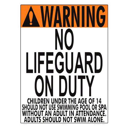 NO LIFEGUARD (VA ONLY 1002WS1824E