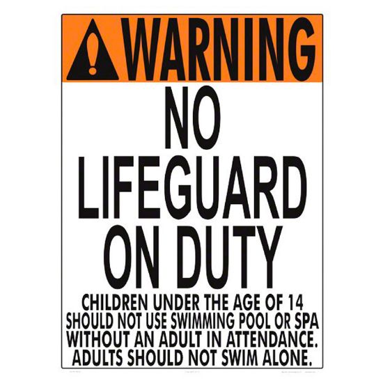 NO LIFEGUARD (VA ONLY 1002WS1824E