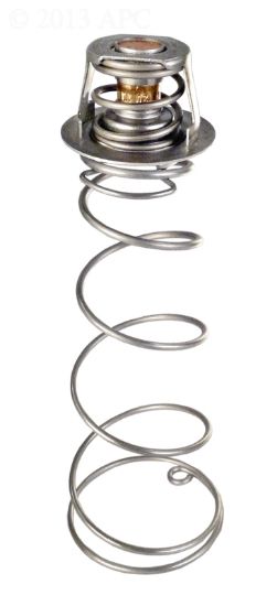 THERMAL REGULATOR KIT FOR MASTERTEMP ASME HEATER 460924