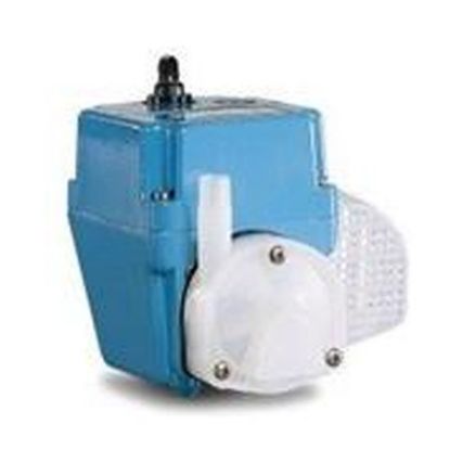 300 GPH 115V PUMP 6' CORD 2EN .25IN MPT LITTLE GIANT 502103