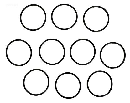 INTELLICHLOR ORINGS - PACK OF TEN PACK OF 10 521147
