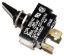 TOGGLE SWITCH RAYPAK 650761