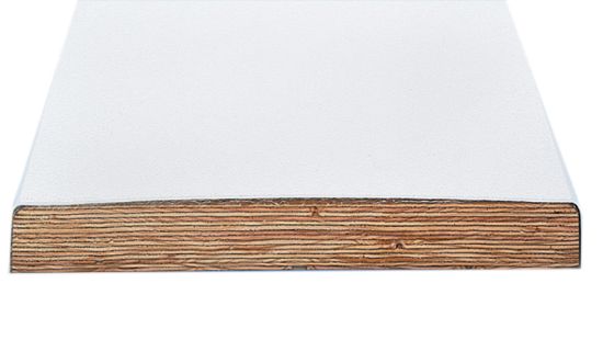 10' SR SMITH SWIM CLUB COMM DIVE BOARD RADIANT WHITE 66-209-220S2-1