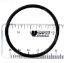 O-RING 1.5IN PUMP UNION FMHP FMCP CMHP APCO2314 O49 FLO- 92200141