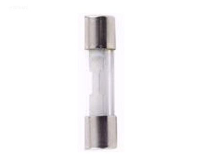10 AMP GLASS FUSE AGC10