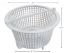 SKIMMER BASKET PENTAIR / PACFAB IG SKIMCLEAN 513036 PLASTIC  B-43