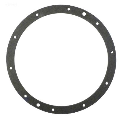 PAPER GASKET 79200400 G110P PENTAIR / AMERICAN 79200400  G-110P