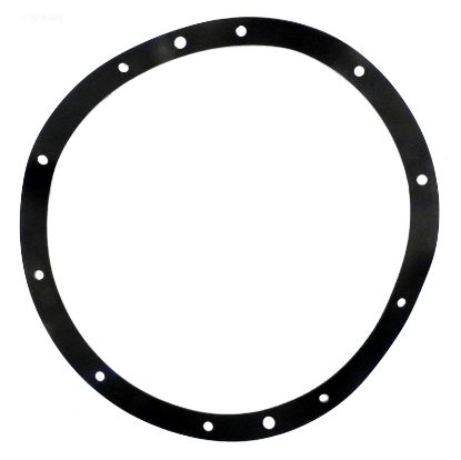 RUBBER GASKET 79200400 G110R PENTAIR / AMERICAN 79200400  G-110R