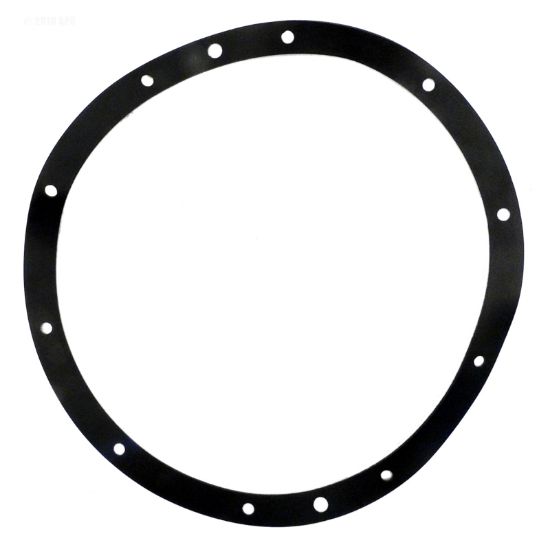 RUBBER GASKET 79200400 G110R PENTAIR / AMERICAN 79200400  G-110R