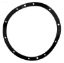 RUBBER GASKET 79200400 G110R PENTAIR / AMERICAN 79200400  G-110R