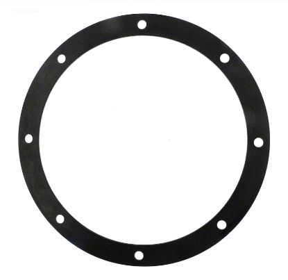 RUBBER GASKET SPX1048D G112R HAYWARD SPX1048D RUBBER G-112R