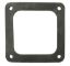 FLANGE GASKET 13013602R G139 JACUZZI 13013602R G-139