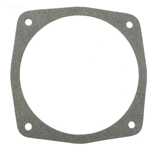 PUMP GASKET P10825 PUREX G194 PENTAIR / PUREX P10825 G-194