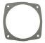 PUMP GASKET P10825 PUREX G194 PENTAIR / PUREX P10825 G-194