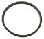 GASKET 47046206R JACUZZI G316 JACUZZI 47046206R G-316