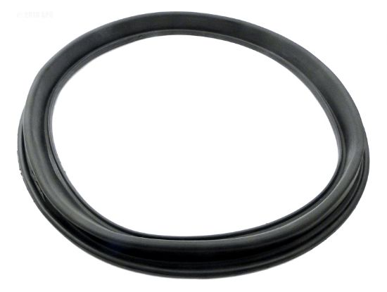 DIAPHRAGM GASKET ECX1105 G348 HAYWARD ECX1105 APCG3276