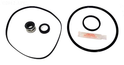 SUPER II PUMP REPAIR KIT APCKIT2 WITH OZONE 3868 SEAL APCK1013A