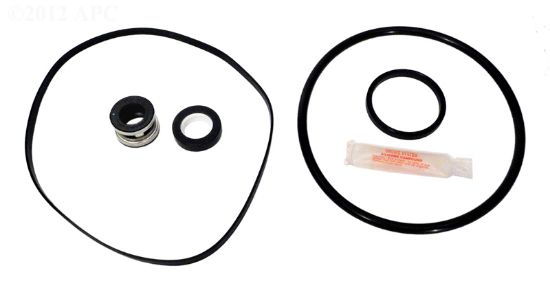 SUPER II PUMP REPAIR KIT APCKIT2 WITH OZONE 3868 SEAL APCK1013A