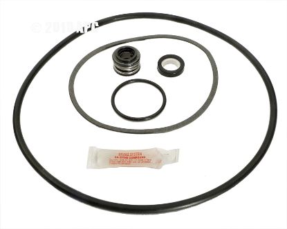 PACFAB PE/P2 REPAIR KIT APCKIT25 APCK1019